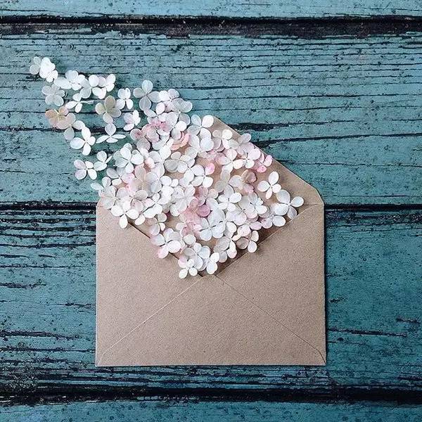 您有封信，請查收