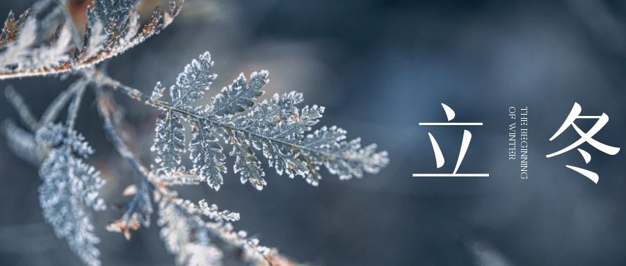 立冬 ▎朔風(fēng)始起，萬物境藏