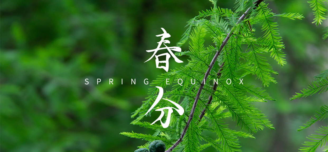 春分 ▎不負(fù)春光，萬物生長