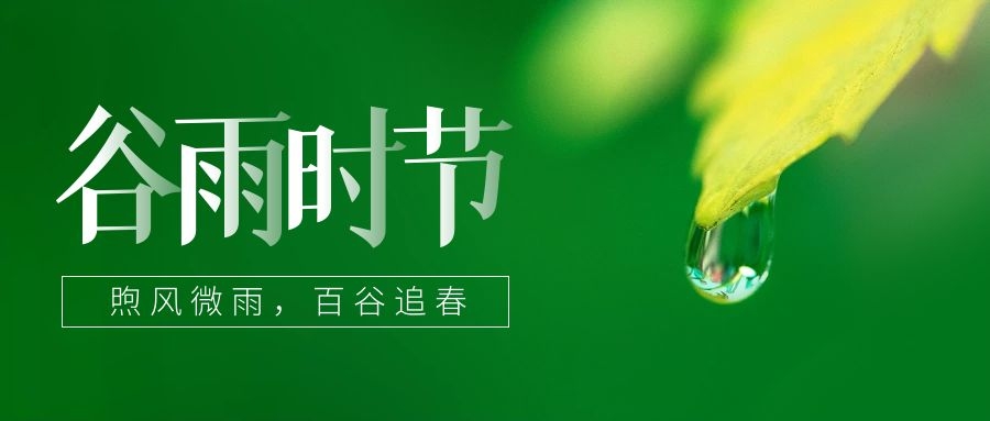 谷雨 ▎雨生百谷，鎖住一抹春色