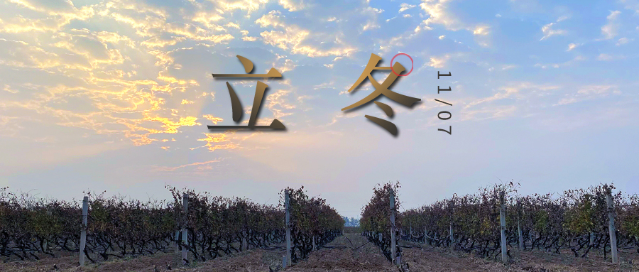 立冬 ▎四時有序，天地歸藏