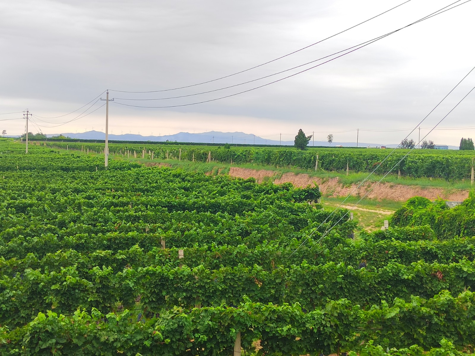 17575561852782.jpg 719661615690066236.jpg