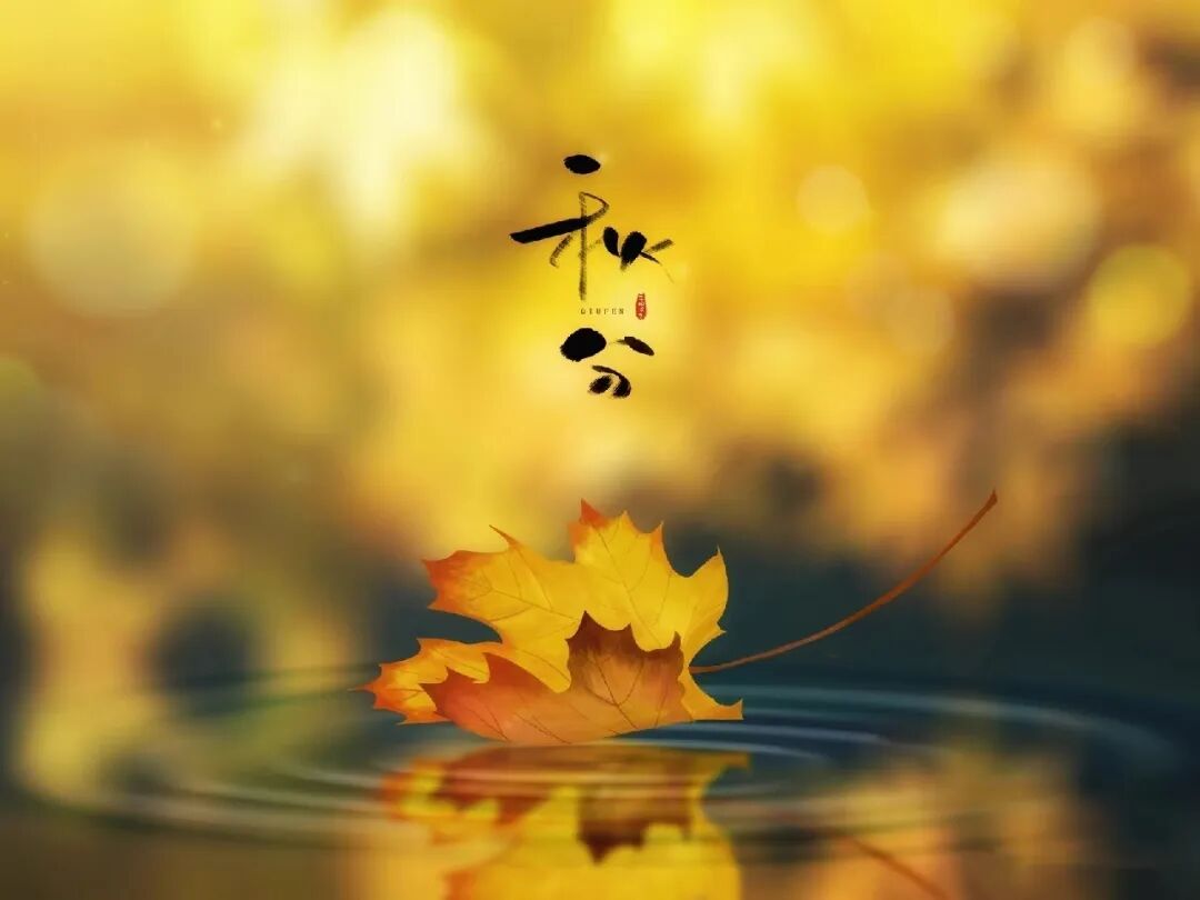 秋分，在格瑞特莊園與時(shí)光對(duì)飲